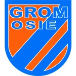 OSIE company logo